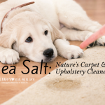 Sea Salt for Cleaning Pet Stains