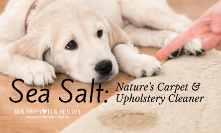 Sea Salt for Cleaning Pet Stains