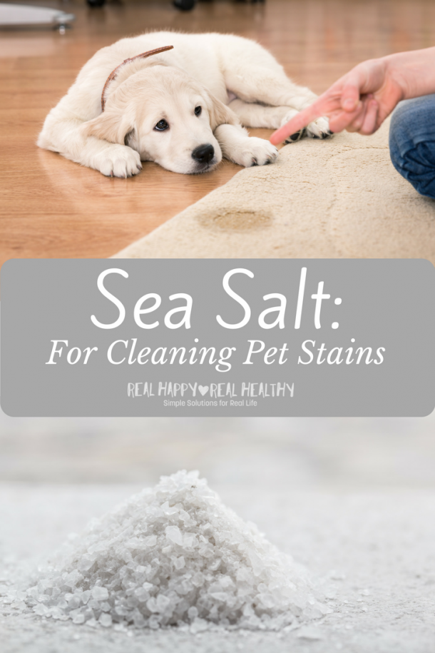 Sea Salt for Cleaning Pet Stains Real Happy Real Healthy